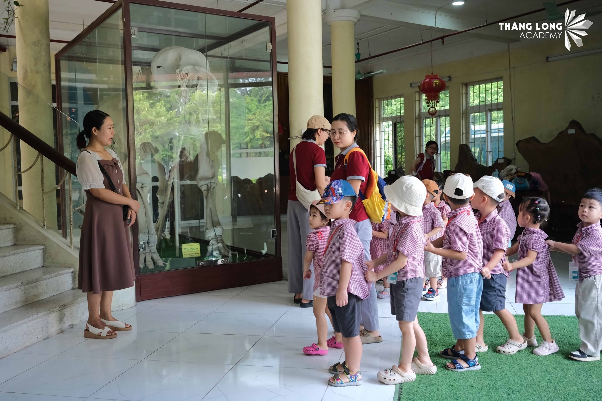 Chuyến tham quan Bảo tàng Tài nguyên Rừng